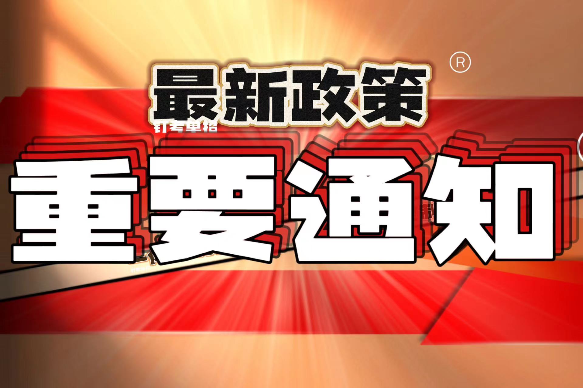 速围观！2024	高职单招政策全面解读~|钉考单招