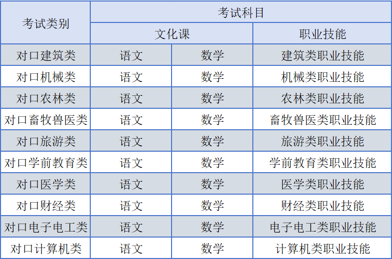 逐梦单招，赢在起点：单招网校全方位辅导计划|钉考单招